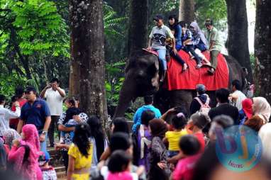 Bandung Zoo Bidik 11.000 Pengunjung