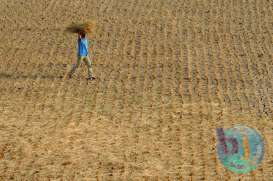 Daya Beli Petani Jabar Turun 0,92%