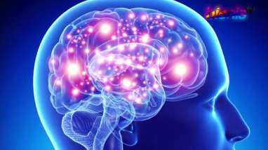 Ini Klarifikasi Dokter Terawan Soal Metode Terapi Cuci Otaknya