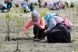 Pjs Wali Kota Makassar Usulkan Penanaman 100.000 Mangrove di May Day