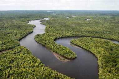 KTT Hutan Hujan Asia Pasifik : Obligasi Hutan, Alternatif Pembiayaan Konservasi