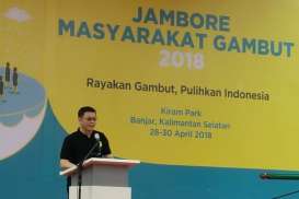 Pusat Gambut Skala Internasional Segera Dibentuk