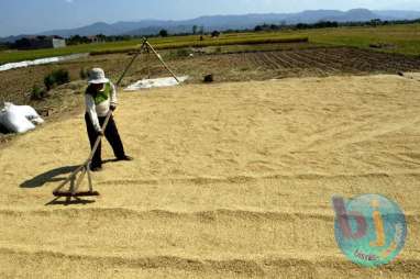 Panen Raya, Nilai Tukar Petani Jabar Menurun