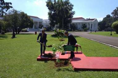 PM China Li Keqiang Tanam Pohon Kamper di Istana Bogor