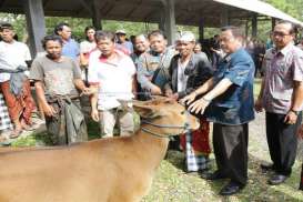 Gianyar Salurkan Bantuan 70 Ekor Bibit Sapi kepada KUBE