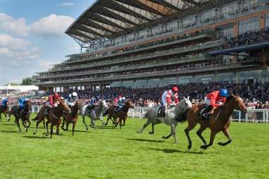 4 Hal  Perlu Anda Tahu tentang Balap Kuda Royal Ascot