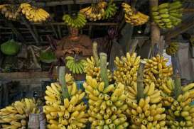 Gianyar Gandeng Universitas Udayana Budi Daya Pisang Bali