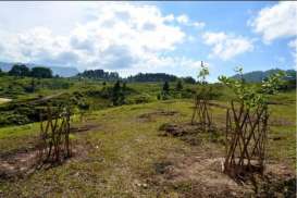 Percepat Laju Tutupan Lahan, Perhutani Tanam 30.000 ha Pohon