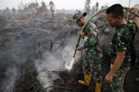 Kebakaran Hutan: Presiden Jokowi Didesak Laksanakan Putusan Pengadilan dan Cabut Kasasi 