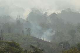 Hutan Gunung Lawu Kembali Terbakar