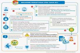 CPNS 2018: Jika Gagal Buka Portal SSCN, Lakukan Hal ini