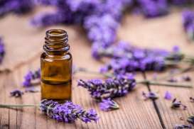 Ingin Rambut Tetap Bersinar dan Sehat? Coba Gunakan Minyak Esensial Lavender