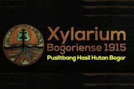 Xylarium Bogoriense Segera Jadi Perpustakaan Kayu Nomor Satu di Dunia