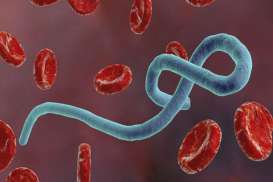 Wabah Ebola Merebak di Kongo, WHO Gelar Emergency Committee