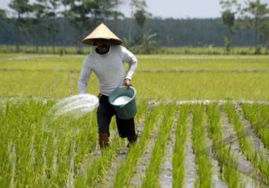 Walhi: Lingkungan Hidup Rusak, Kedaulatan Pangan Terancam