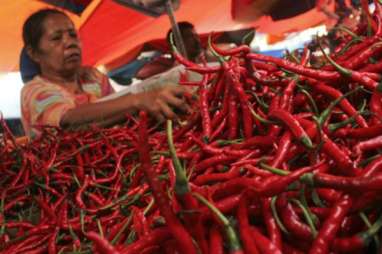 Cabai Merah jadi Pemicu Inflasi di Sumbar