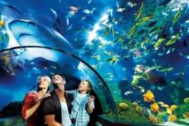 Sea Life Legoland Malaysia Resort Melakukan Pengisian Tangki Laut 400.000 Galon Air