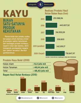 Hasil Hutan Bukan Kayu Calon Primadona Kehutanan