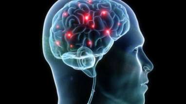 Menjaga Prefrontal Cortex pada Otak Remaja Lewat Aktivitas Fisik