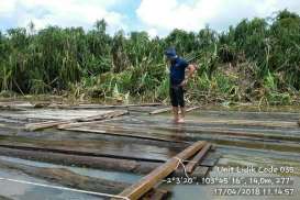 Perdagangan Kayu Ilegal di Papua, Komisi VI DPR Akan Minta Keterangan Pemerintah