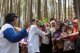 Menakar Potensi Hasil Hutan Bukan Kayu