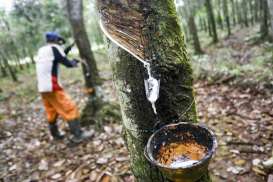 Harga Karet Tokyo Mengerut Empat Hari Beruntun