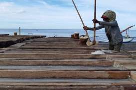 15.000 ha Lahan di Aceh Potensial Jadi Ladang Garam