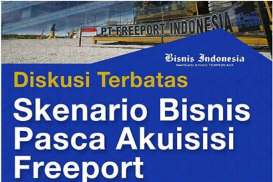 Saham Freeport: Pembentukan BUMD Papua Masih Tunggu Kesepakatan