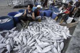 Peningkatan Produksi Perikanan Indonesia Perlu Didukung Relaksasi Regulasi