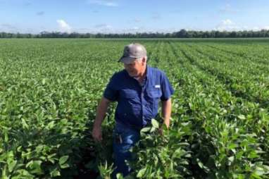 Tangisan Petani di Balik Senyum untuk Trump