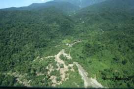 Skema Multi Usaha Bakal Dongkrak Kawasan Hutan Produksi Berizin