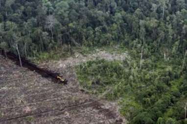 Moratorium Izin Pemanfaatan Hutan Alam dan Lahan Gambut Bakal Permanen