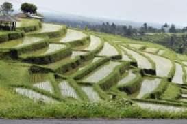 Festival Tepi Sawah Hadirkan Gerakan Sadar Lingkungan di Bali