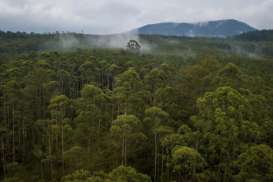 Aceh Jaya Ajukan Pengakuan 2 Hutan Adat