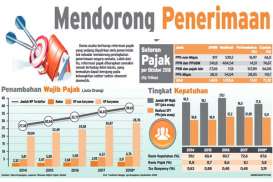 Target Tax Ratio 2020 Disepakati Turun 