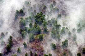 42.740 Ha Hutan dan Lahan Terbakar hingga Mei 2019