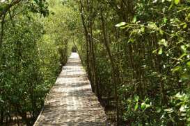 PHE WMO Buka Kembali Taman Pendidikan Mangrove Bangkalan