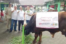 Sinar Mas Land Serahkan Bantuan Hewan Kurban