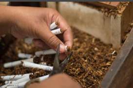 British American Tobacco Bakal Pangkas 2.300 Pekerjaan