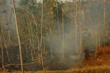 BNPB: 26,5 Hektar Area Terbakar di Gunung Sumbing