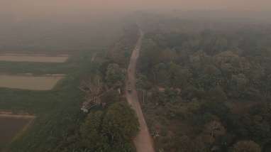 Warganya Tak Lagi Bakar Hutan, Desa Dataran Kempas di Jambi Diganjar Penghargaan