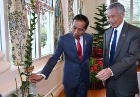 Ditemui Jokowi, PM Singapura Pamerkan Anggrek Hibrida 'Iriana Jokowi'