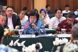 Menteri LHK Asistensi Sejumlah Gubernur Soal Kehutanan dan Lingkungan