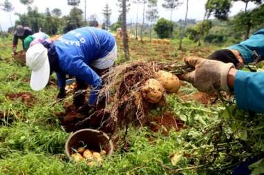 Menkop UKM Dorong Penciptaan Wirausaha Muda di Bidang Pertanian