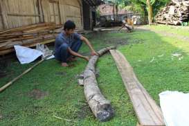 Penemu Fosil Gading Gajah 4 Meter Berharap Kompensasi Layak