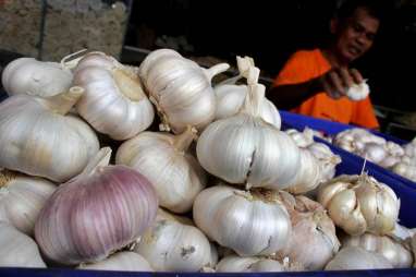 Tidak Impor Bawang Putih dari China, Siap-Siap Harga Naik