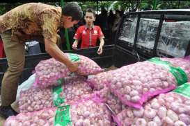 Impor Bawang Putih, Penegak Hukum Diminta Selidiki Penerbitan RIPH 