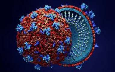 Update Virus Corona: 16.000 Orang Lebih Meninggal, 101.608 Sembuh