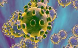 Jumlah Kurir Virus Corona Diprediksi Lebih Banyak