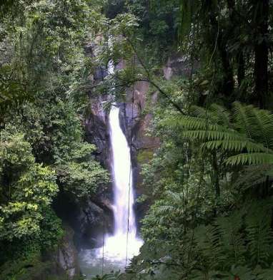 Wisata Alam di Bogor Bakal Diserbu Wisatawan Jabodetabek, Ini Daftar Tujuannya